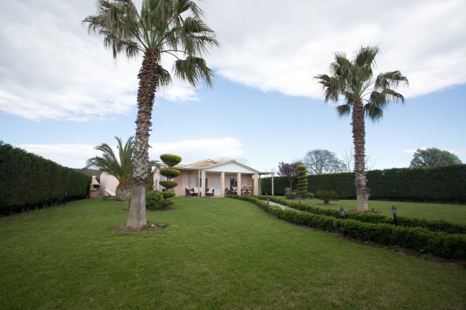 Palm Tree Seaside Villa