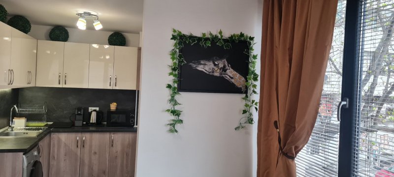 APARTMENT BIJOU BLUE - Top Center — photo 5