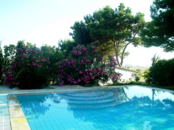 Villa Konstantinos — photo 5