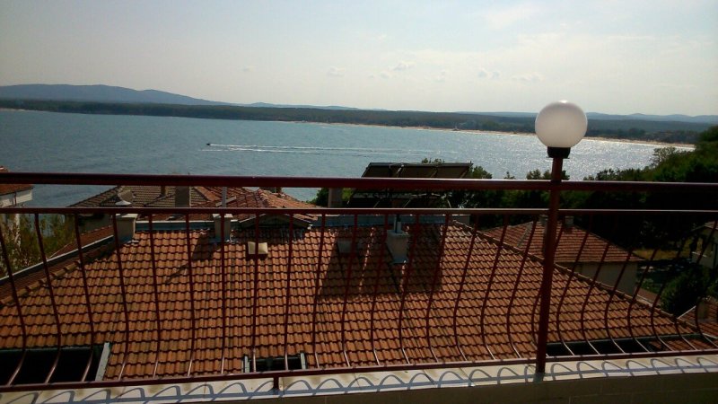 Lebed — photo 6