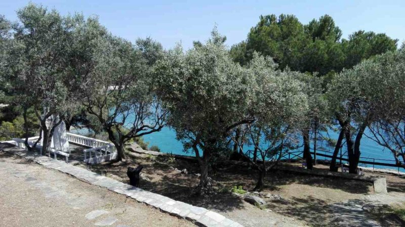 Our House 2 / Aegean House — снимка 2