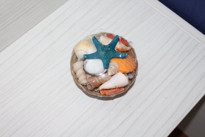Sea la vie — photo 5