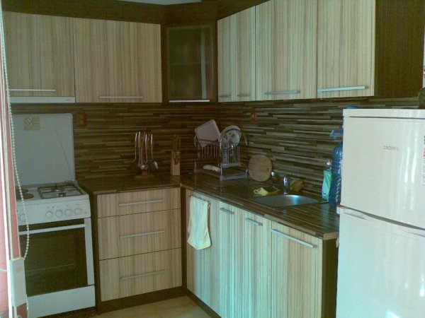 House Polly — photo 5