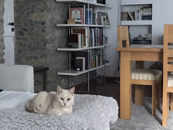 The OLD STONE HOUSE — photo 6