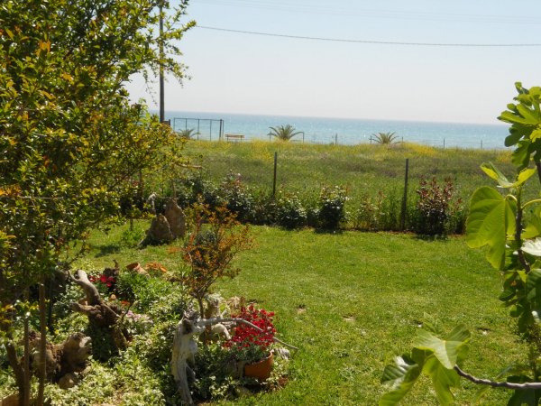 Efi's cozy house Nea Plagia — photo 5