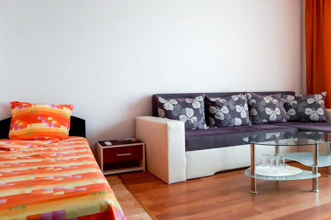 One bedroom apartment in Rezvaya house — photo 3