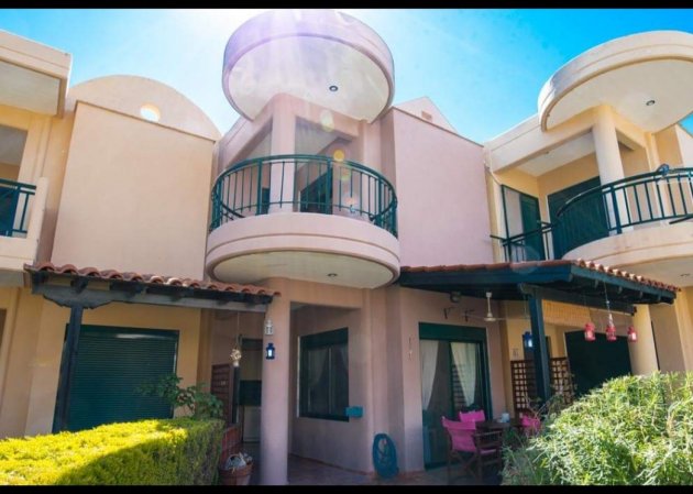 Lemon tree house — photo 2