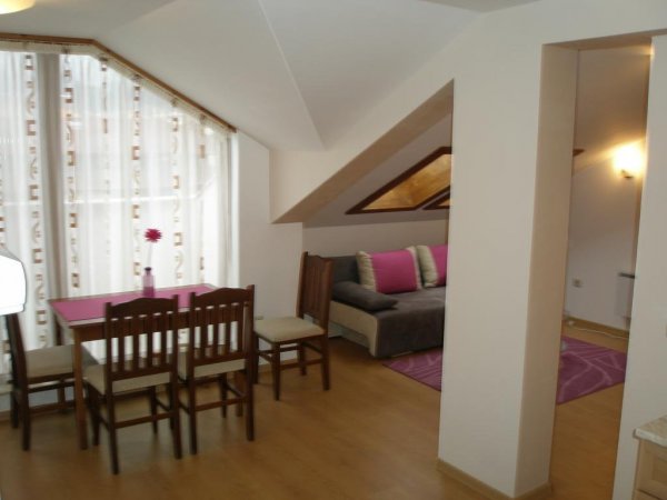 Spacious attic apartment in Bansko — photo 3