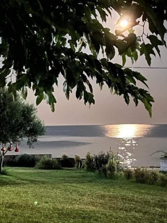Villa Tervel — φωτογραφία 2