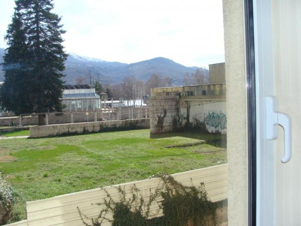Tom — photo 2