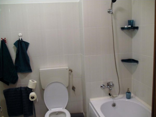 Mill Lake Apartment — photo 4