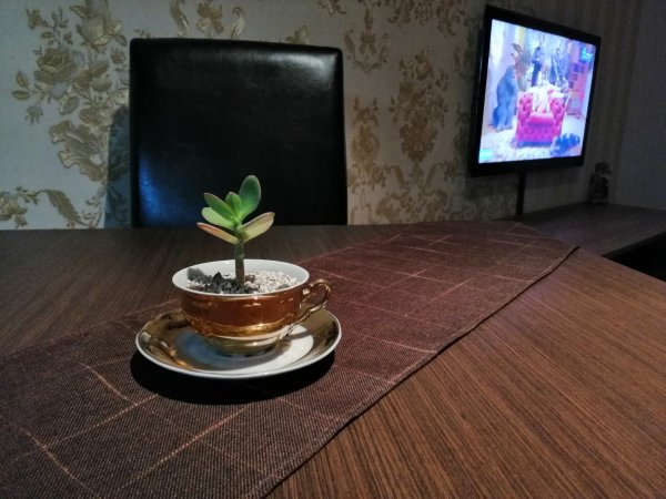 Niki Apartment — photo 4