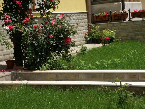 Apartments Kaloyan– 1 apartment — photo 5