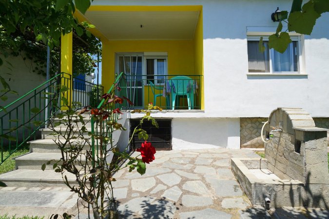 Green House — photo 6