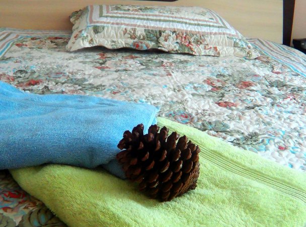 Holiday Fort Golf Club — photo 5