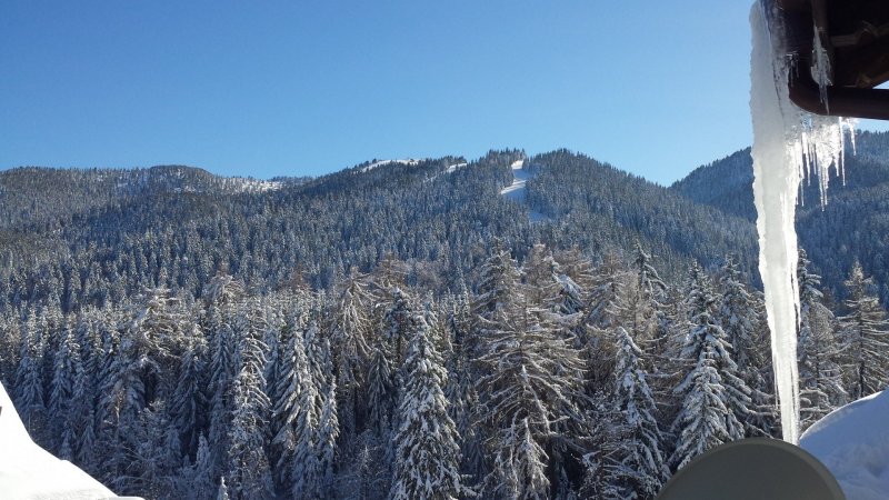 Луксозен пет звезден ski in/ski out апартамент в Боровец — фото 2