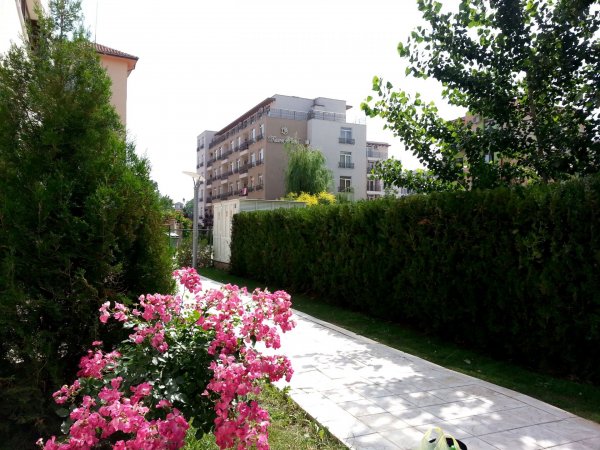 EDEN * MENADA Apartments * studio pool view — photo 6