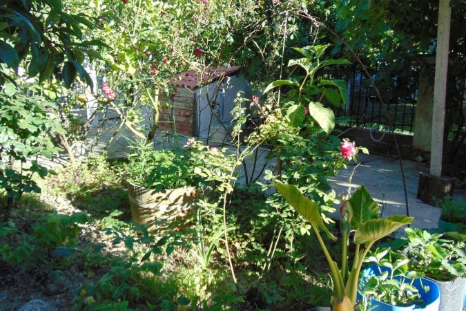 two serene, secluded studios for 4 to 6 persons 150 meters from the beach — photo 2