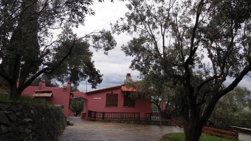 Our House 2 / Olive House — снимка 6