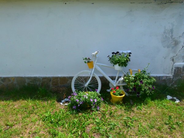 Villa Valley of rouses — photo 2
