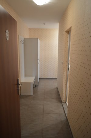 Stella — photo 5
