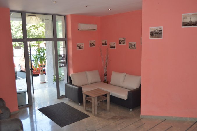 Stella — photo 6