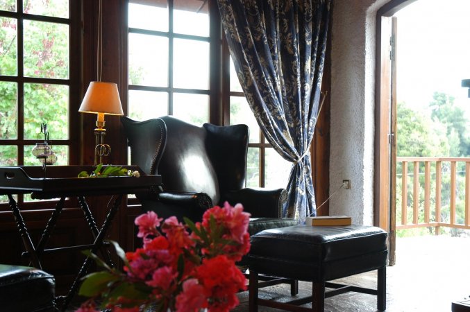 Villa Amalthea  in pinewood hill with sea view — photo 6