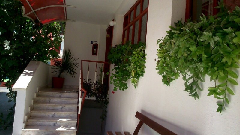 Lebed — photo 4