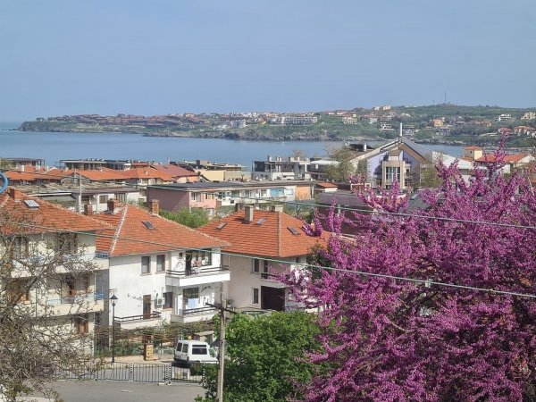 Studio in Sozoplol — photo 1