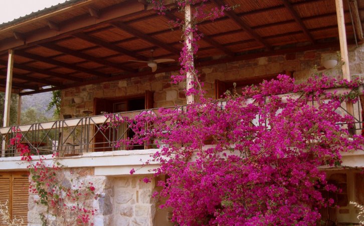 CHARMING COUNTRY HOUSE BY THE SEA (1min walk ) — photo 1