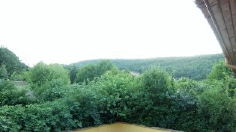 Green — photo 5