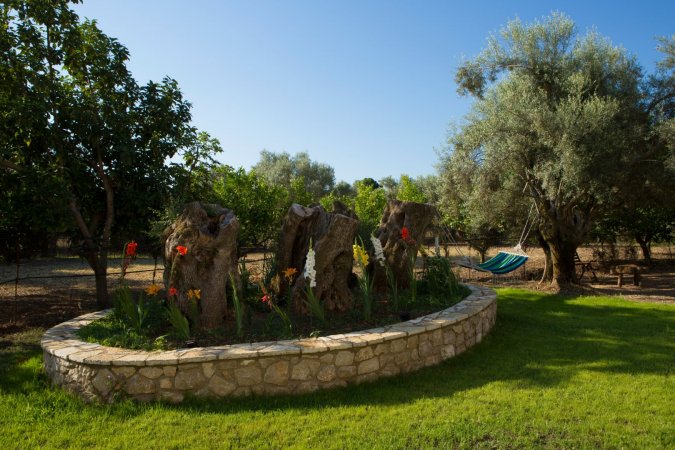 villa elionas — photo 4