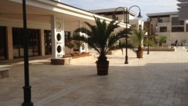 Apartment in Apolonia resort — photo 1