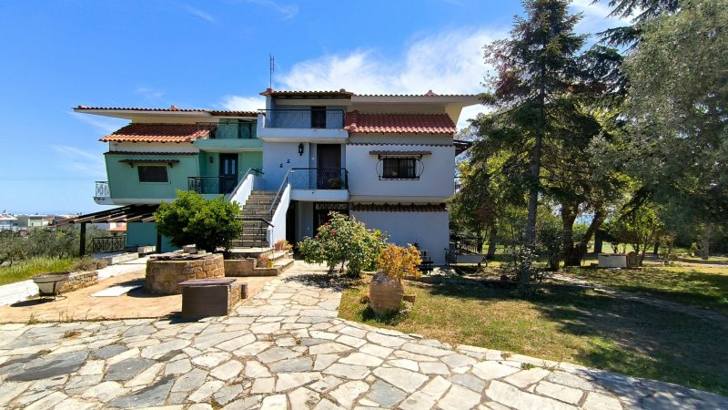 Blue Horizon Avdira Beach — photo 2