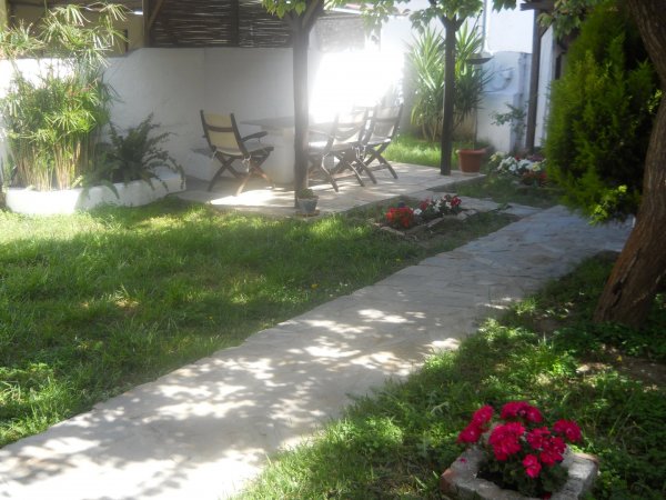 Petrino 1880 — photo 4