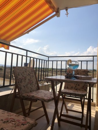 Little Provence — photo 1