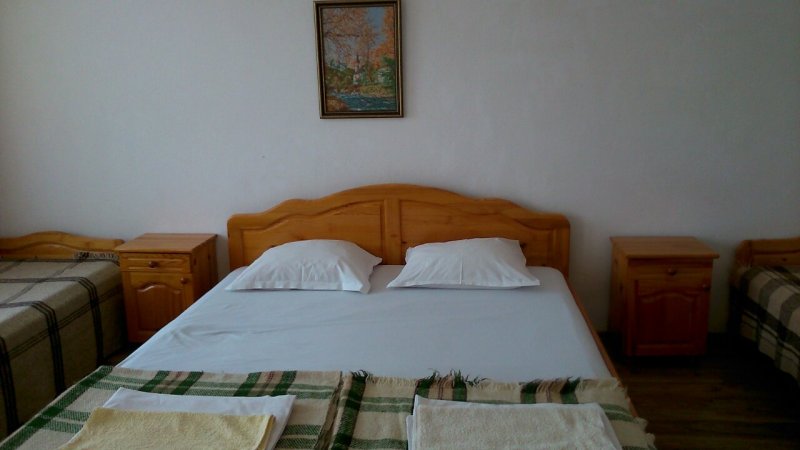 Lebed — photo 3
