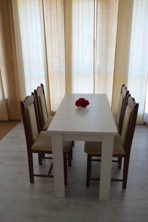 Stella — photo 4