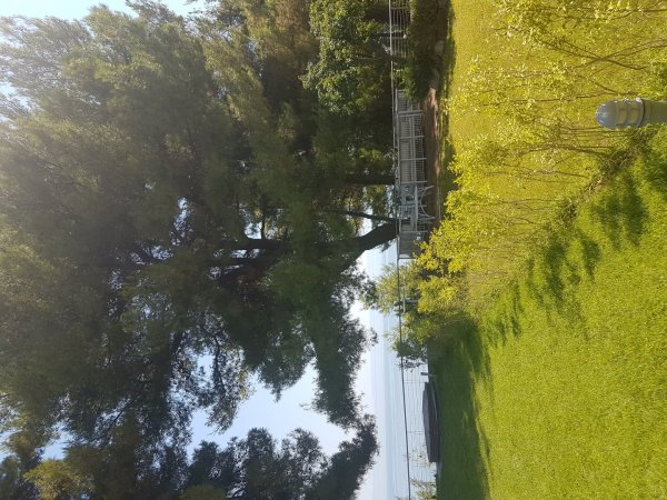Angelikis Holiday House. Sea View. — photo 3