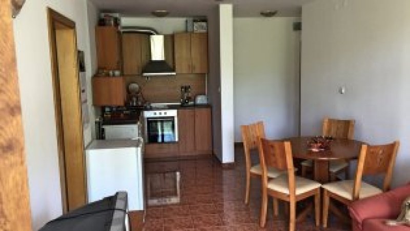 One-bedroom apartment for rent in Anita Complex, Sunny beach — photo 5
