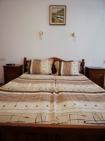 Bojana, guest house — photo 5