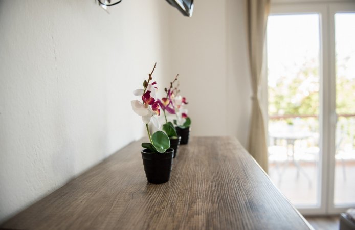 Apartments Michalis 2 — photo 2