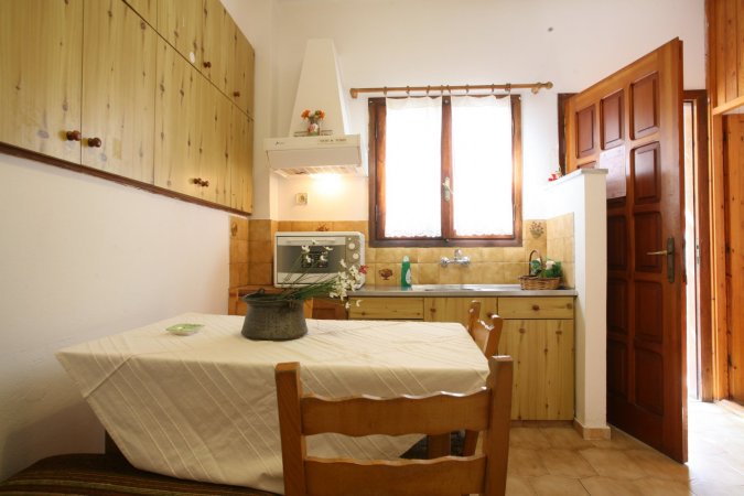 amorani — photo 2