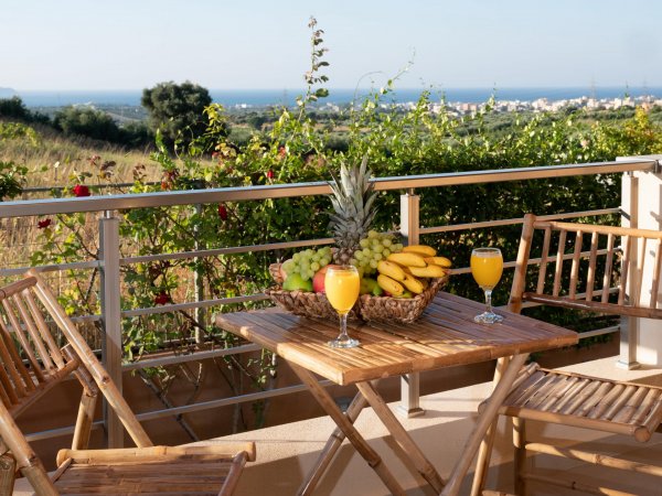 Villa David with private pool — photo 5