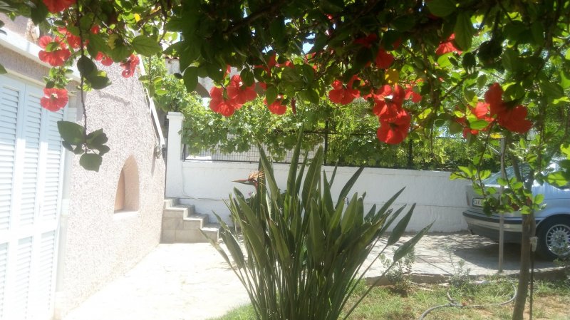 Villa Golden Sea Chania — photo 4