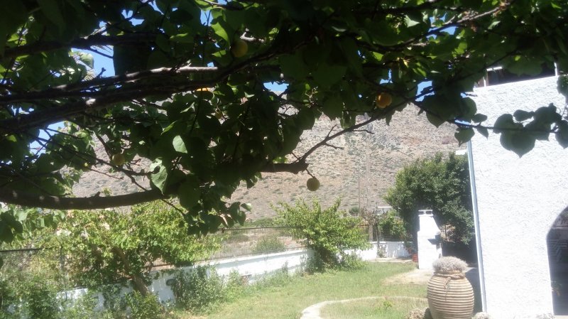Villa Golden Sea Chania — photo 5