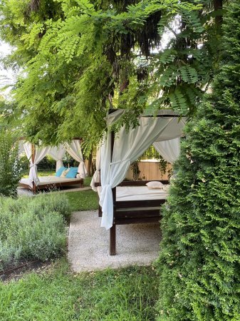 New luxury studio in Venera Palace — photo 5
