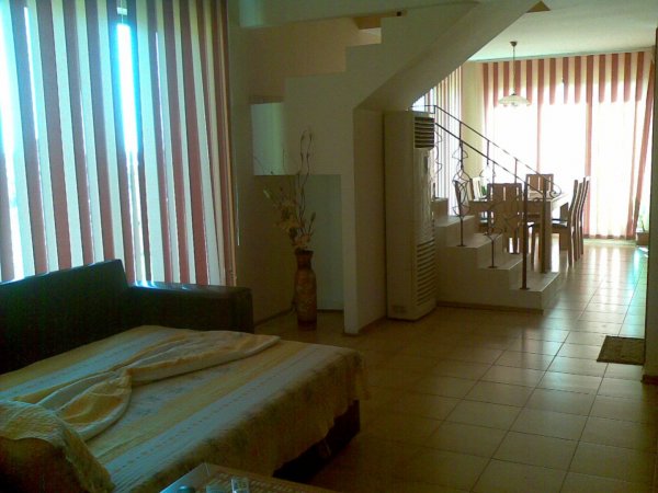 House Polly — photo 3