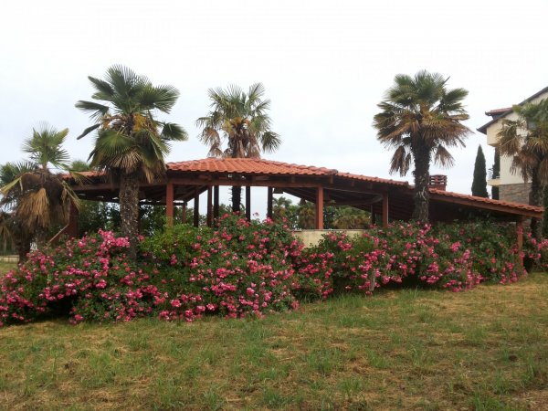 Olympus Villa Anna — photo 2