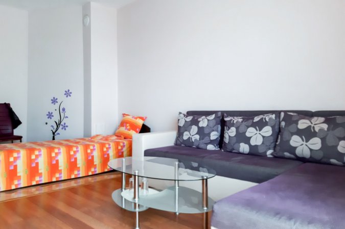 One bedroom apartment in Rezvaya house — photo 4